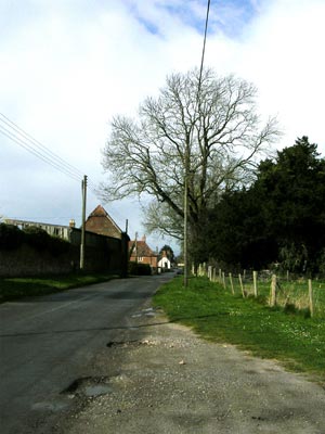 Into Village